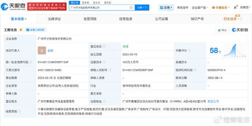 揭秘陰陽師前負責人創(chuàng)業(yè)公司 深耕計算機軟硬件開發(fā)與銷售的新篇章
