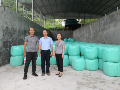 市畜牧總站帶隊南方草地項目指導工作圓滿完成，助力墊豐石畜牧飼料業升級